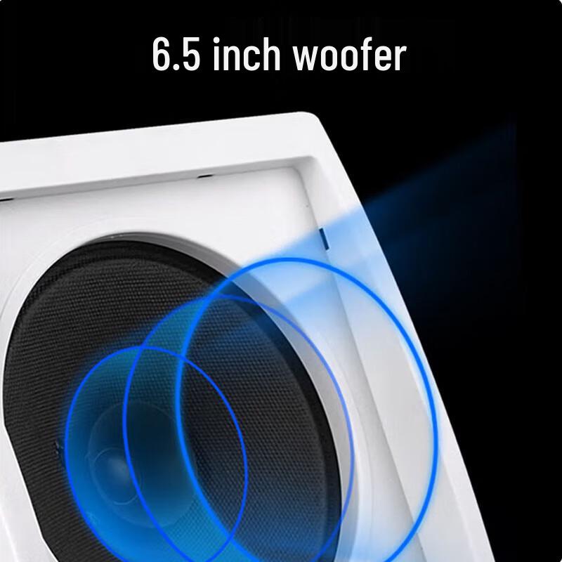 VISHU Professional IP Network Wall-Mounted Speaker CN Plug (adapter Included)