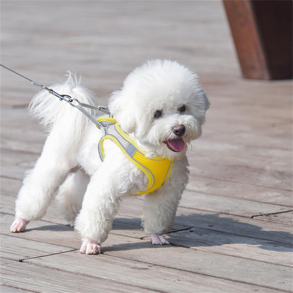 Pets Chest Strap Leash Set Soft Cute Support Walking Vest Working Harness Animal Breathable Halter Accessories