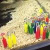 Yousheng 10Pcs Aquarium Tumbler Compact Decorative Anti-rust Aquarium Turtle Jar Tumbler Decorations Fishbowl Accessories