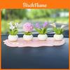 Resin Craft Miniature Flower Pot Decor For Office Desk And Car Ornament