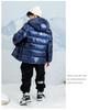 Boys' Hooded Winter Jacket - Thick, Warm, Cotton-Padded Coat with Shiny, Wash-Free Outerwear for Big Kids