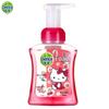 Foaming Antibacterial Kids Hand Soap