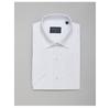 Borgio Canosa Shirt