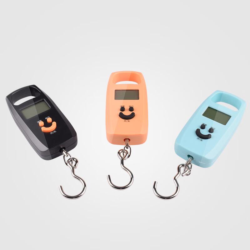 Portable Digital Hanging Scale