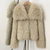 Short Imitation Fur Coat Women's Thickened Warm and Environmentally Friendly Fur Coat