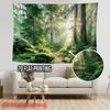 Sonniger Wald Fotografie Hintergrund Natur Grüner Baum Moos Stein Hintergrund für Party Fotoshooting