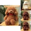 Adorabile Peluche Cane Teddy Cane Cucciolo Seduto Carino Per Bambine Morbido E Coccoloso