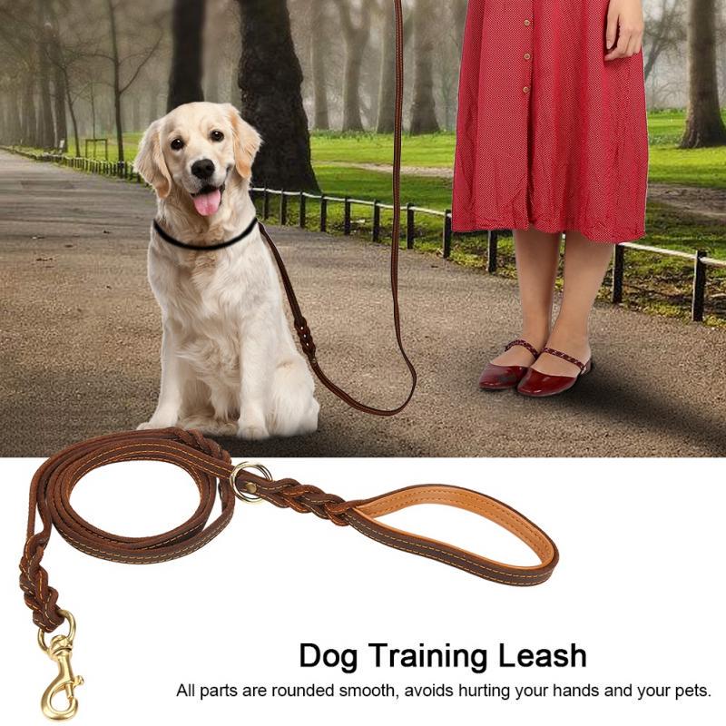 dog leash with two hooks