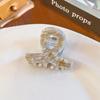 Wind-Acetic Acid Small Hair Clips, Female Forehead Bang Clips, Half-Tie Hair Claw Clips, Elegant Hair Clips, Headwear
