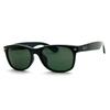 Ray-Ban Wayfarer Sunglasses RB2132F