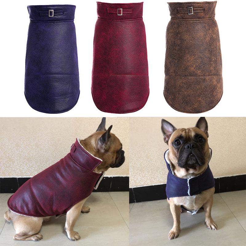 french bulldog leather jacket