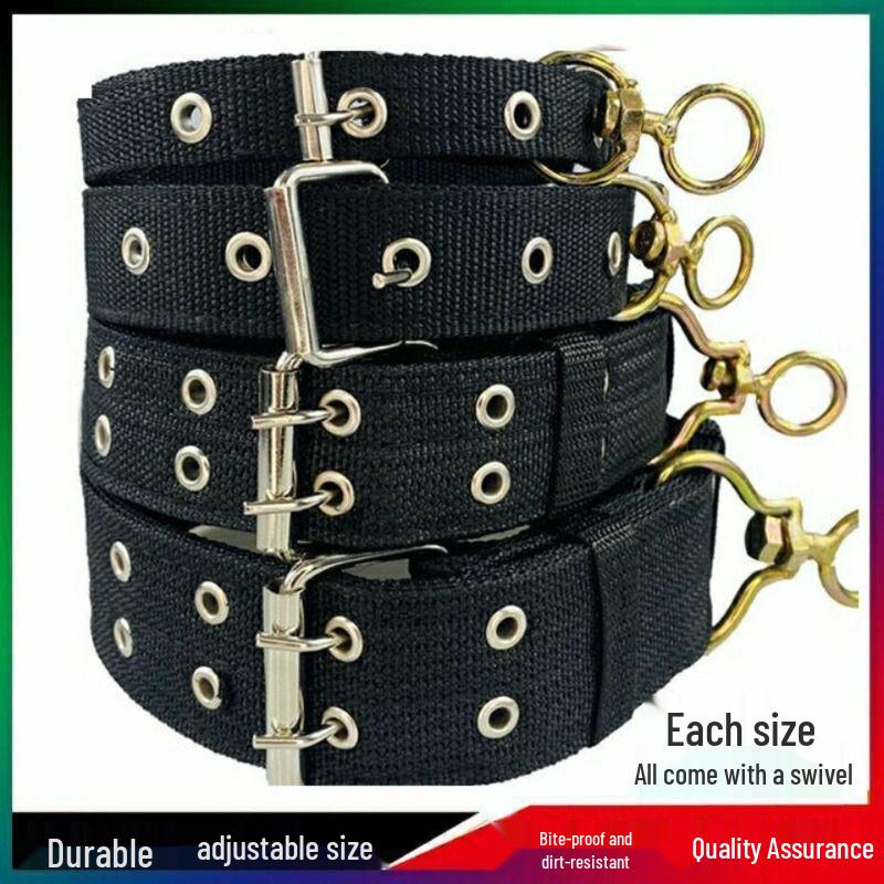 Double Row Dog Collar & Leash Set for Medium To Large Dogs