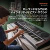 Roland Roland Electronic Keyboard, E-X10 Arranger Keyboard, Easy Operation, 61 Keys, Automatic Ac...