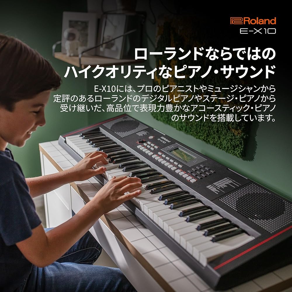 Roland Roland Electronic Keyboard, E-X10 Arranger Keyboard, Easy Operation, 61 Keys, Automatic Ac...