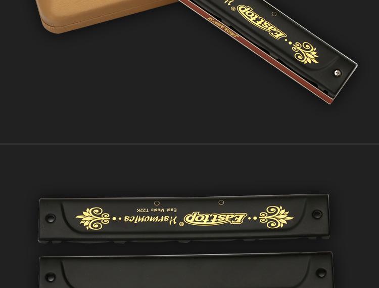 Dongfang's 22-Hole C Key Polyphonic Harmonica for Beginners and Adults