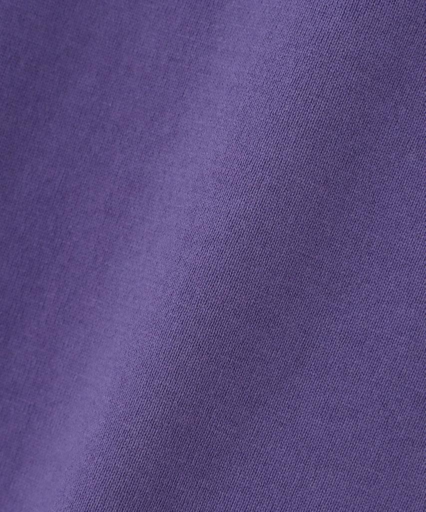 AVIREX FLYING BEAR T-SHIRT 25 (WEB&DEPOT Exclusive) Men's Short Sleeve T-shirt XL 080 Purple 783-5134071