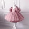 Rochie Fetiță Rochie Prințesă cu Perle Rochie Botez Fetiță Rochie Tutu din Dantelă Plasă Rochie Petrecere Zi Fetiță Rochie Fetiță