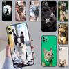 French Bulldog Dog Case For Samsung Galaxy M52 M36 M06 M16 M56 M33 M15 M55 M31 M13 M12 M14 M53 M32 M35 M34 M54