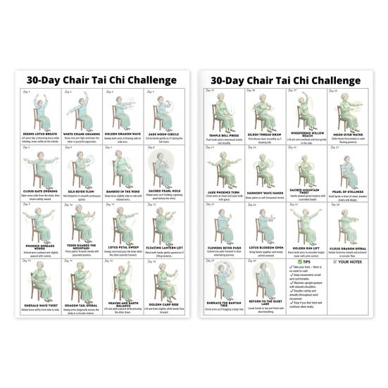 

2Pcs Tai Chi Chair Exercises for Seniors And Beginners 10x8 Inch Frameless Seated Tai Chi Poster for Home Fitness Flexibility Circulation Sets