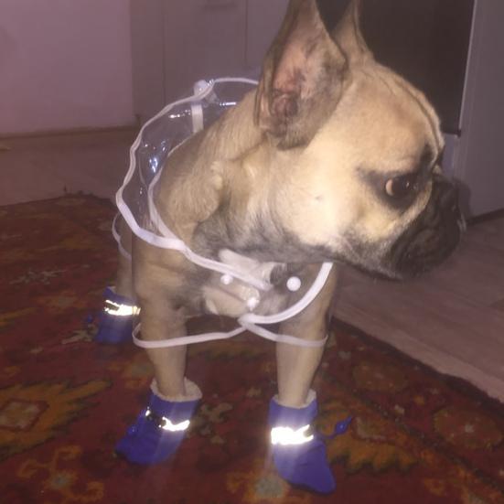 4 szt./zestaw Pet Pies Szczeniak Antypoślizgowe Miękkie Pokrowce na Buty Buty Deszczowe Obuwie do Domu