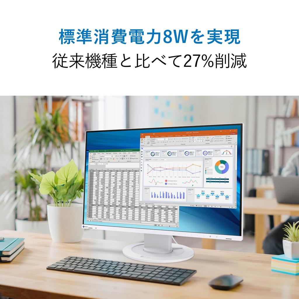 EIZO FlexScan monitor 1920 x 1200 frameless IPS reduces eye fatigue black The warranty is valid only in EV2410R-BK (24.1-inch / / / anti-glare / / /