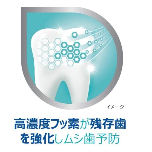 Earth Chemical Polident Dental Lab Medicated Toothpaste, 100g X 5 Packs