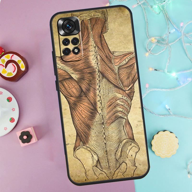 Medical Human Anatomy Case For Xiaomi Redmi Note 10 11 12 8 9 Pro 8T 9S 10S 11S Cover For Redmi 10 9 12C 9C 10C