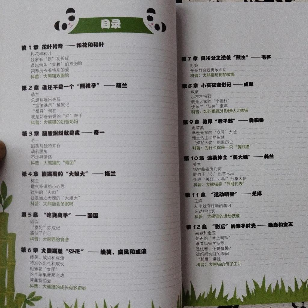 [USED] Rare item! Big Bear Cat Super Moehishi