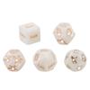 Adult Sex Toys Sex Dice Bar Toy Couple Gift Humour Gambling 5 pcs/set Sex Toys for Couple Love Sexy Posture