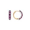 Luxenter Earrings with Ruby Zircon 18k Yellow Gold Finish - Yrat