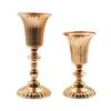 Metal Wedding Centerpiece Vase Elegant Decorative Planter Tall Trumpet Vase for Anniversary Indoor Outdoor Event Birthday Party