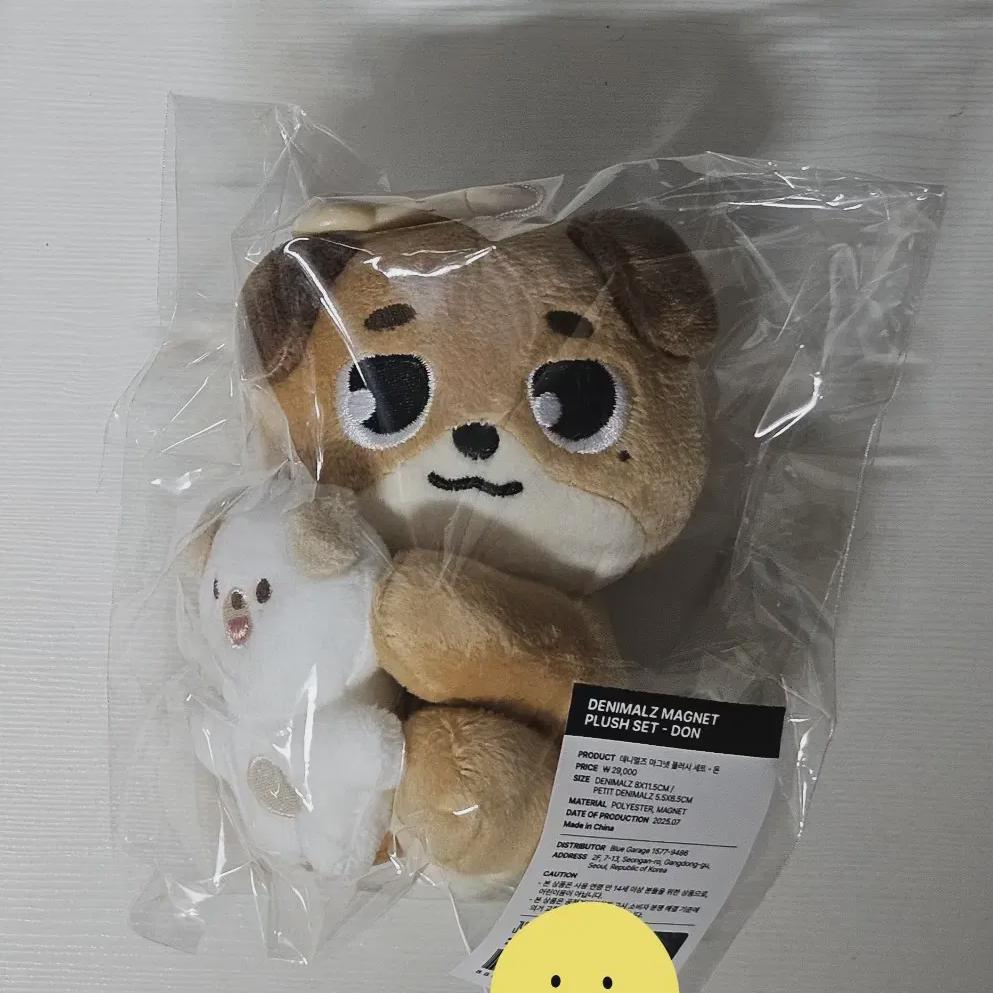 

Day6 Denimals Magnet Naana Dowoon With Money