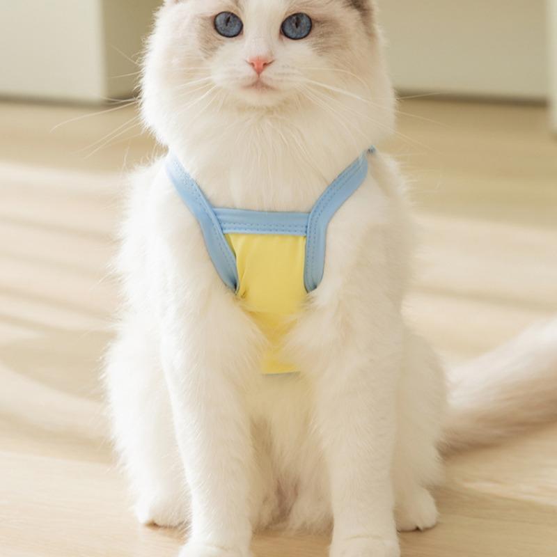 Spring and Summer Cat Clothes Cute Luminous Bear Sunscreen Sling Clothes