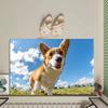 Cute Dog Mat For Bathroom Pet Pattern Floor Rug Doormat Small Toilet Carpet Soft Absorbent Mats