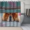 Banyo ve tuvalet – Duş Perdeleri