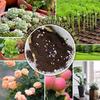 Universal Organic Nutrient Soil - Ideal for Growing Vegetables & Flowers, Household Potting Mix, 100 Jin