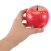GLEAVI Apple Shape Car Antenna Topper Cute Decoration Fruit Ball Car Roof Universal Car Antenna Topper for Most Vehicles