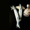 Creatieve 3D Vorm van Vis Etui Tas Schrijfwaren Schoolbenodigdheden Cosmetische Tas