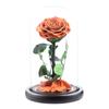 Eternal Flower Glass Cover Little Prince Rose Valentine's Day Gift Premium Finished Gift Box