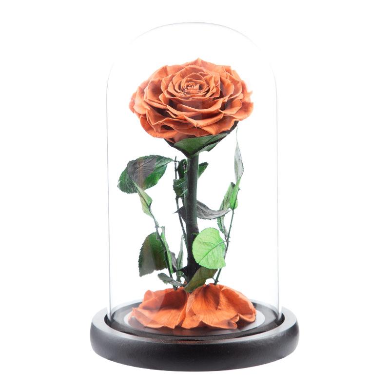 Eternal Flower Glass Cover Little Prince Rose Valentine's Day Gift Premium Finished Gift Box