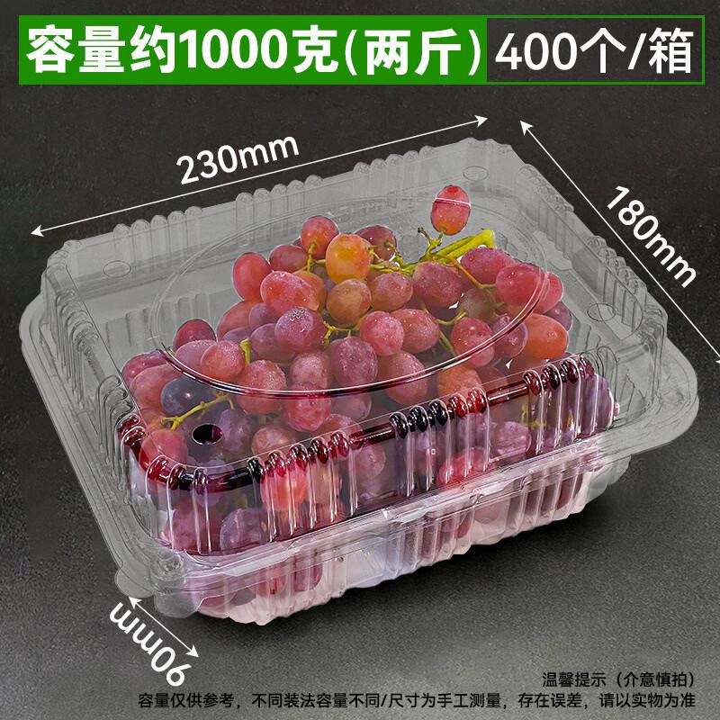 Disposable Round Fruit Packaging Boxes