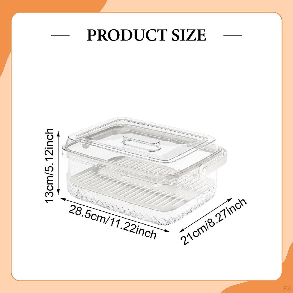 Chilled Fruit Storage Box Clear Container Food Organizer for Outdoor Events