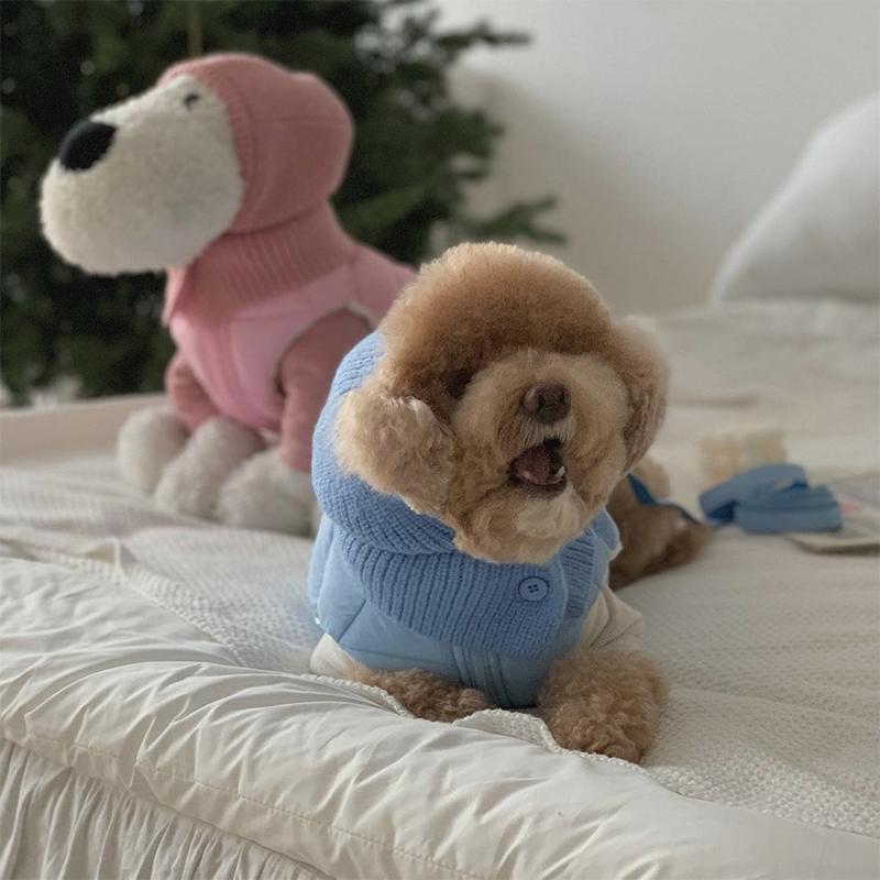 Zimowa Ciepła Czapka Dzianinowa dla Zwierząt Domowych Urocze Dzianinowe Nakrycie Głowy dla Teddy Bichon Małych Psów Dekoracja w Stylu Ins Miękkie Wygodne Zimne Akcesorium