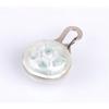 LED luminous dog pendant, luminous dog tag, pet pendant, dog flash tag