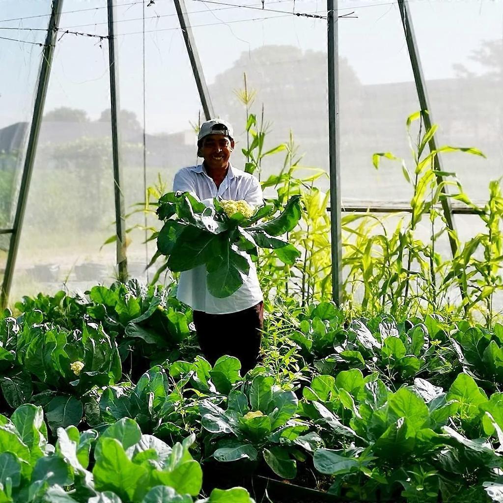 Garden Insect Netting Vegetable Garden: 1.2 x 5 m Fine Mesh Protection for Leeks Fruit Tree Gardening Plant Veil White