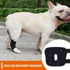 Dog Leg Support Band for Joint Injury & Post-Op Recovery - Anti-Lick Sleeve