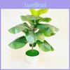 Plante Artificielle Ficus Pandurata Hance avec Feuilles en Plastique pour Décoration d'Intérieur et Cadeau