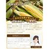 Doctor supervised Hokkaido corn tea 4g100 bags caffeine-free zero calories fragrant gentle taste domestically produced teabags 100 used health can be
