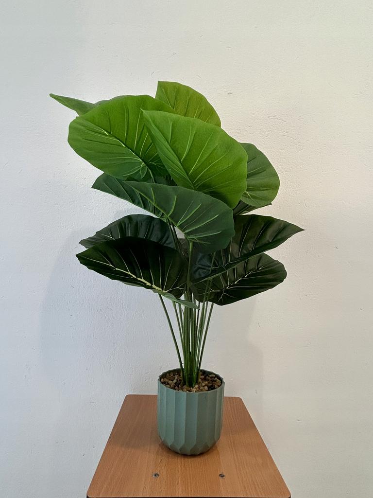 Pianta artificiale orecchio d'elefante in vaso realistico 60cm Arbusto
