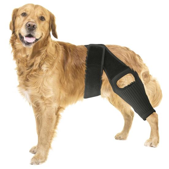 Dog Knee Brace for ACL Tear Adjustable Leg Support Bracket Dog Tendinitis Support Sleeve Easy Install Dog Leg Bracket